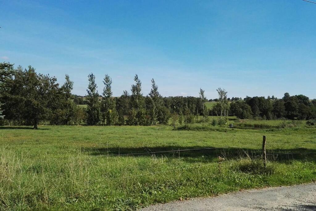 Ferienwohnung In Mittelsaida Grosshartmannsdorf Esterno foto
