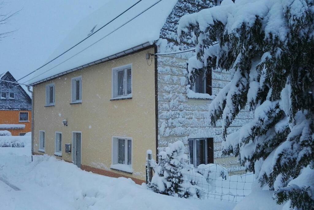 Ferienwohnung In Mittelsaida Grosshartmannsdorf Esterno foto