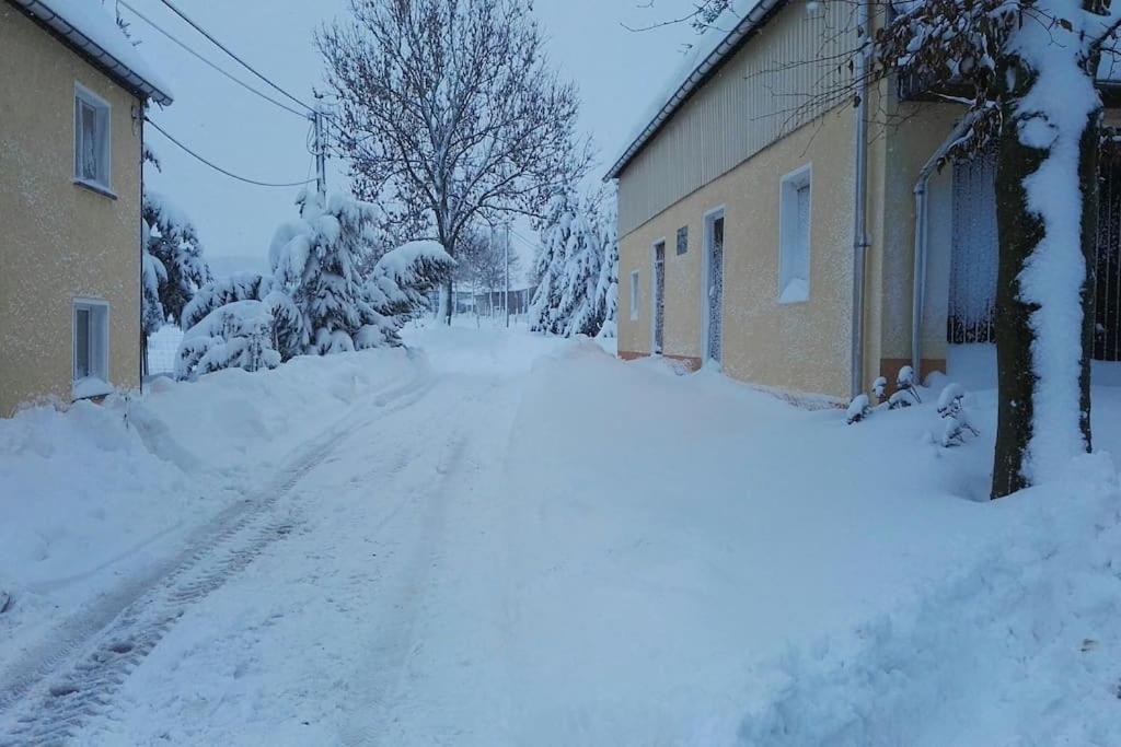 Ferienwohnung In Mittelsaida Grosshartmannsdorf Esterno foto